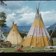 Cover image of Tipi raising Banff Indian Days 1950