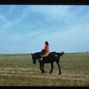 Cover image of Unidentified person on horseback