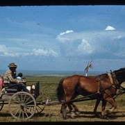 Cover image of Unknown individuals in wagon at Standoff 1951