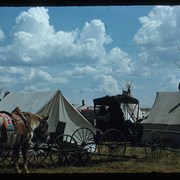 Cover image of Standoff camp 1951