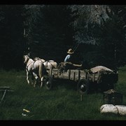 Cover image of Horse and wagon