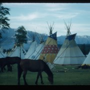 Cover image of Horses and tipis at Banff Indian Days grounds