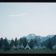 Cover image of Tipis and horses at Banff Indian Days 1954