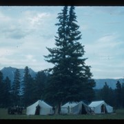 Cover image of Tents at Banff Indian Days grounds