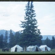 Cover image of Canvas tents, possibly the Wesley encampment at Banff Indian Days