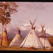 Cover image of Tipis at Banff Indian Days