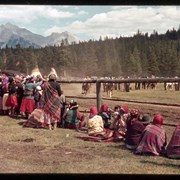 Cover image of Crowd watching a horse race