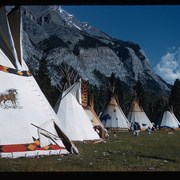 Cover image of Tipis in a row at Banff Indian Days