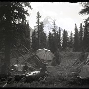 Cover image of John D. Curren Glass Negatives