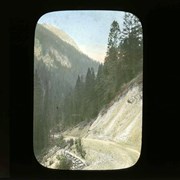 Cover image of Near Sinclair Summit, Kootenay Park - Kootenay National Park