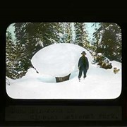 Cover image of Snow mushroom in Glacier National Park - Glacier National Park