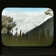 Cover image of Illecillewaet Glacier, Glacier Park - Glacier National Park