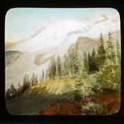 Cover image of Summerland, N.E. [North east] side Rainier [Mount Rainier, Washington] - Flora