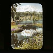 Cover image of Mt. Rainier [Mount Rainier] & Reflection Lake. Paradise Valley. Heather beds & lillies - Flora