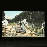 Cover image of The Pas Lumber Co. Rearing out a wing during the drive - Forestry
