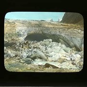 Cover image of Collapsed glacier