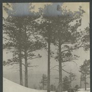 Cover image of "North side of 2nd Highest, near summit"