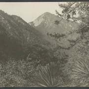 Cover image of "Mt. San Gabriel"