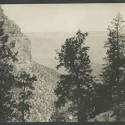 Cover image of Trees, rocky landscape