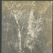Cover image of "Arroyo Seco - San Gabriel Mts"