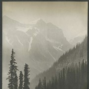 Cover image of Mountains, forest