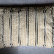 Cover image of  Pillow