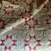 Cover image of  Quilt