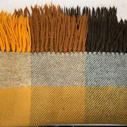 Cover image of Throw Blanket