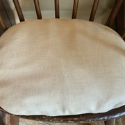 Cover image of  Cushion