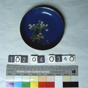 Cover image of Decorative Plate