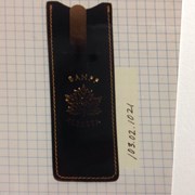 Cover image of Comb Case