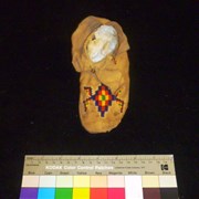 Cover image of Beaded Moccasin