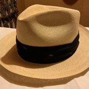 Cover image of Panama Hat