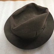 Cover image of Fedora Hat