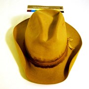Cover image of Cowboy Hat