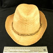 Cover image of Woven Palm Hat