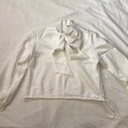 Cover image of Blouse Shirt