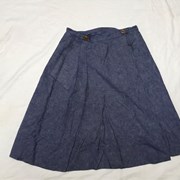 Cover image of  Skirt