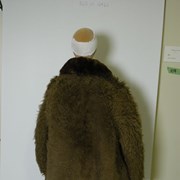 Cover image of  Coat