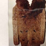 Cover image of Buffalo Coat