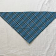 Cover image of  Kerchief