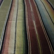 Cover image of  Shawl