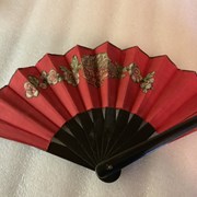 Cover image of  Fan