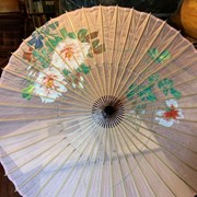 Cover image of  Parasol