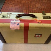 Cover image of  Suitcase