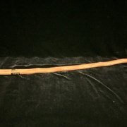 Cover image of Walking Stick