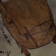 Cover image of  Backpack