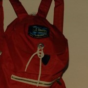 Cover image of Daypack Backpack