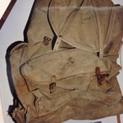 Cover image of  Backpack