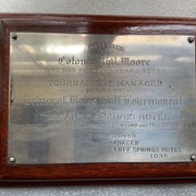 Cover image of  Plaque